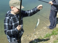 Pozývame vás na rybárske preteky detí a mládeže - v sobotu 7. mája na jazere Vajnory