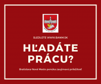 Mestská časť Bratislava-Nové Mesto hľadá záujemcu na pracovnú pozíciu vodič osobného motorového vozidla 