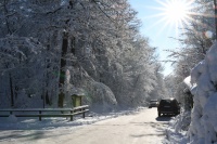 Na Troch kráľov má v Bratislave snežiť. Ojedinele hrozí aj poľadovica!