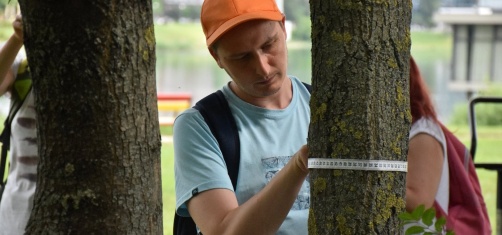 Nové Mesto zmapovalo viac ako 13-tisíc stromov, pozná ich zdravotný stav