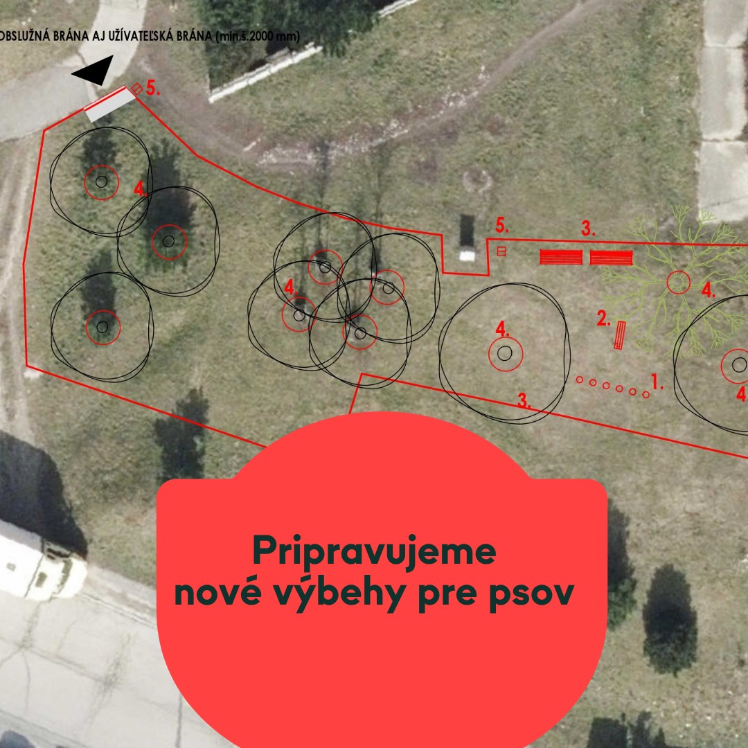Psy nie sú len domáci miláčikovia – sú to naši verní spoločníci, ktorí prinášajú radosť, pohyb a dobrú náladu do každodenného života. V našej mestskej časti je dnes re…