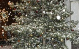Titulný obrázok k albumu: Rozsvietenie Vianočného stromčeka pred MÚ BANM 1.12.2010