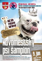 Hľadá sa šampión. Prihláste aj svojho psíka