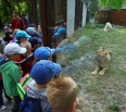 
- „Deti, viete načo sú kozičke rohy?“
- „Aby sa bránila.“
- „A pred čím?“
- „Pred mäsožravými zvieratami.“ 
Novomestskí prváci absolvovali posledný septembrový t…