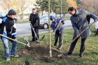 Nové Mesto je ešte zelenšie