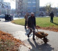 Tak ako vlani, aj tento rok organizuje Mestská časť Bratislava – Nové Mesto v rámci jarného upratovania sériu brigád. Harmonogram bol zostavený na základe informácií, …