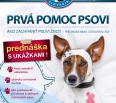 Kedy navštíviť so psom veterinára? Aké choroby sú prenosné na ľudí? Ako postupovať pri otrave a vážnych zraneniach psov? Odpovede na tieto otázky dostanú psičkári už t…