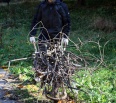 V sobotu 12. novembra pozýva starosta Rudolf Kusý obyvateľov okolia Račianskeho mýta, ale aj ďalších Novomešťanov na brigádu, ktorá sa začne o 10.00 v parku na Račku. …