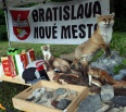 Tretiaci ôsmich základných škôl bratislavského Nového Mesta sa budú učiť o lesnej zveri a zeleni priamo v lesoparku na Železnej studničke. Mestská časť v spolupráci s …