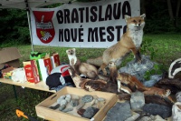 Novomestskí školáci vymenia lavice za les