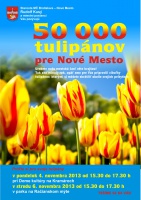 Nové Mesto rozdá občanom 50 000 cibuliek tulipánov