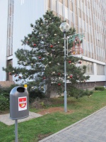 V pondelok slávnostne rozsvietime vianočný stromček, v Novom Meste sa začnú Vianoce