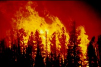 Hasiči upozorňujú na zvýšené nebezpečenstvo vzniku požiarov