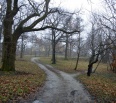 Mestská časť Bratislava - Nové Mesto pozýva občanov na stretnutie k revitalizácii parku Gaštanica na Jeséniovej. Na stretnutí bude odprezentované, ako bude park vyzera…