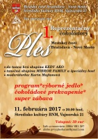 Pozývame vás na prvý reprezentačný ples mestskej časti Bratislava - Nové Mesto! V sobotu 11. februára