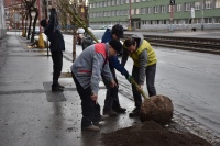 Račianska je stále zelenšia