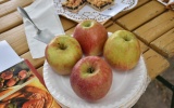 Titulný obrázok k albumu: Športovo - kultúrne  podujatie na Kuchajde spojené so súťažou o najchutnejší jablkový koláč